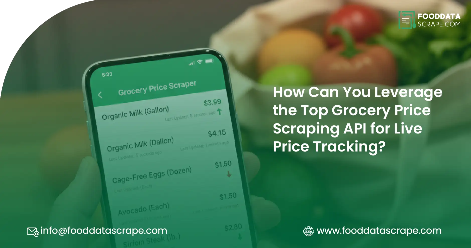 How Can You Leverage the Top Grocery Price Scraping API for Live Price Tracking?